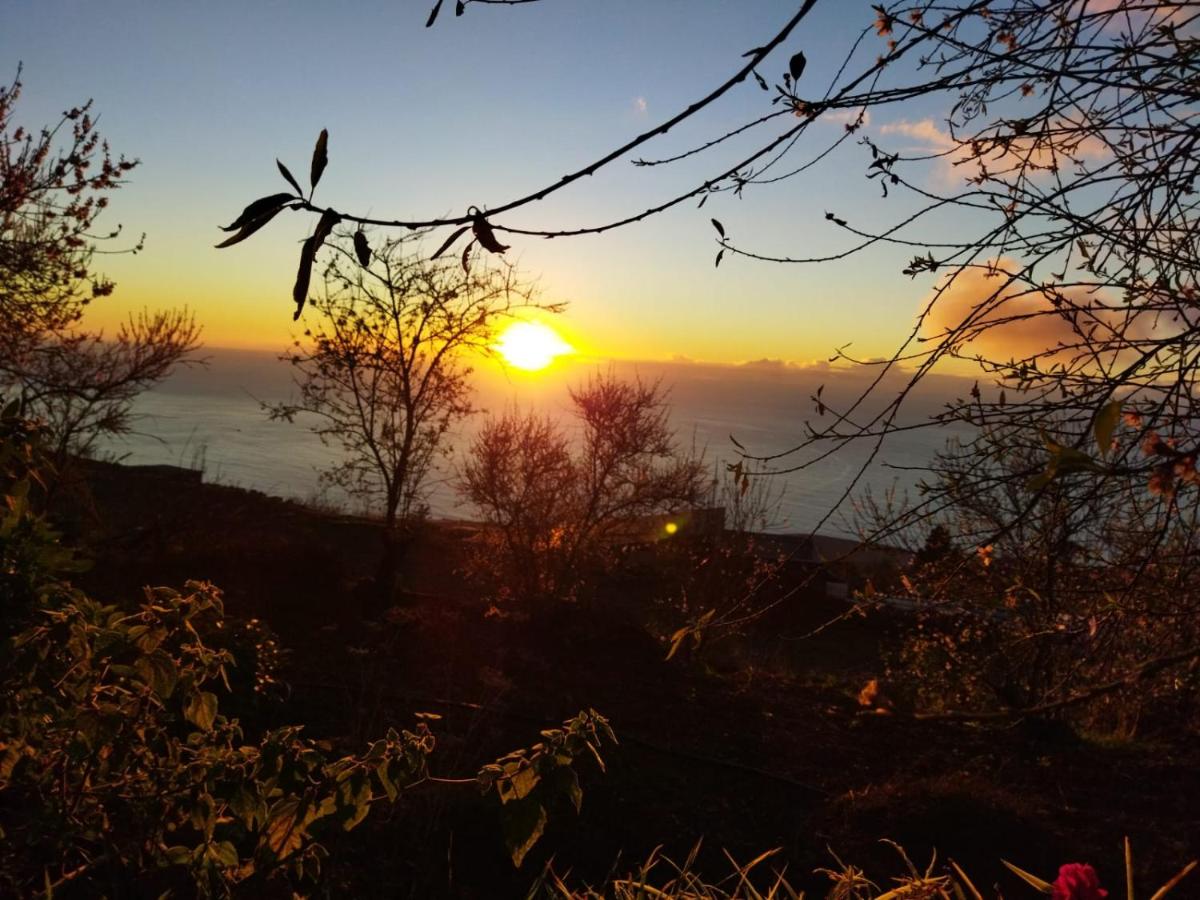AbraCaRiBes, foto 4